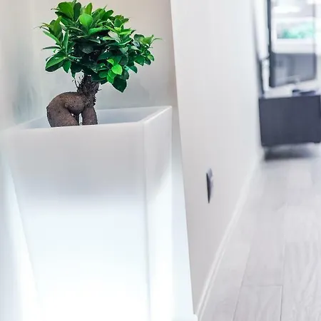 Vatican Apartloft